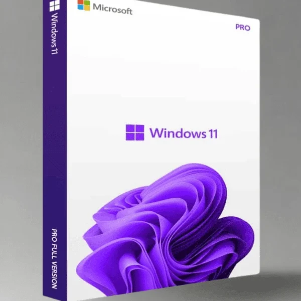 Windows 11 Professional License key