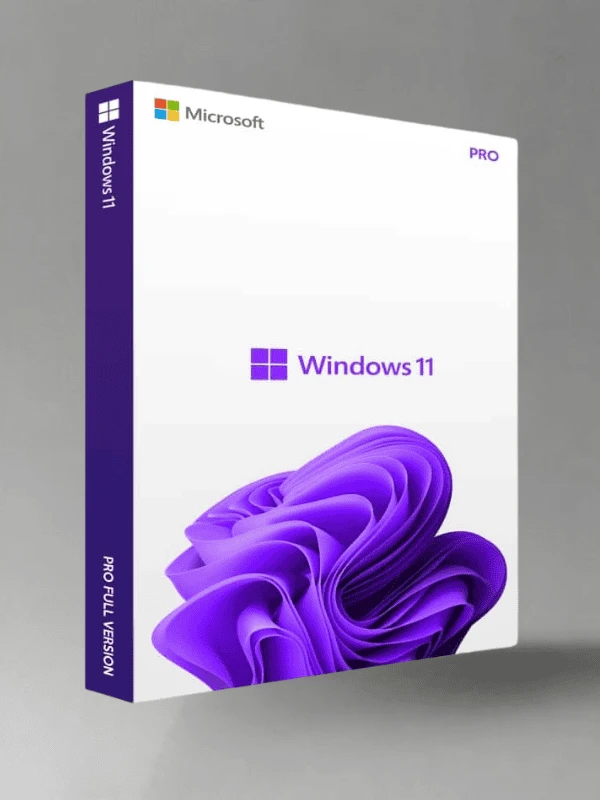 Windows 11 Professional License key