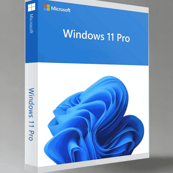 Windows 11 Professional genuine License key