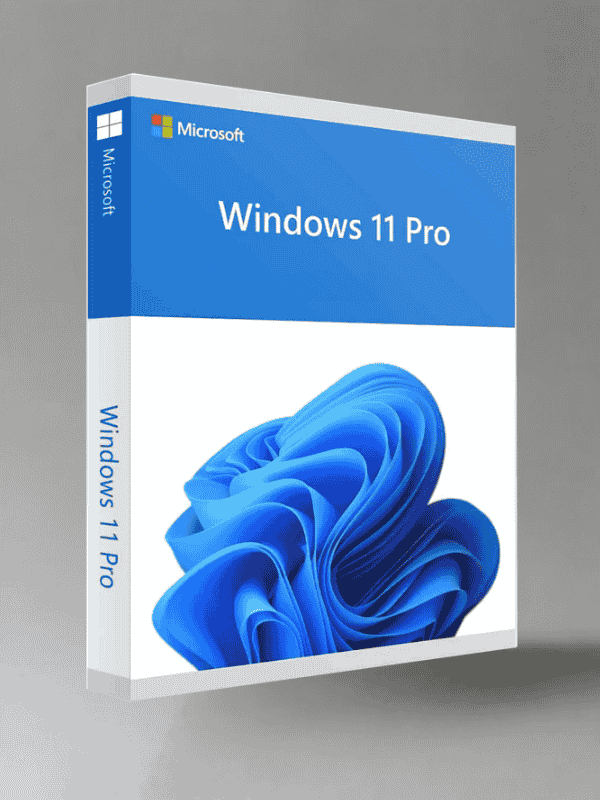 Windows 11 Professional genuine License key